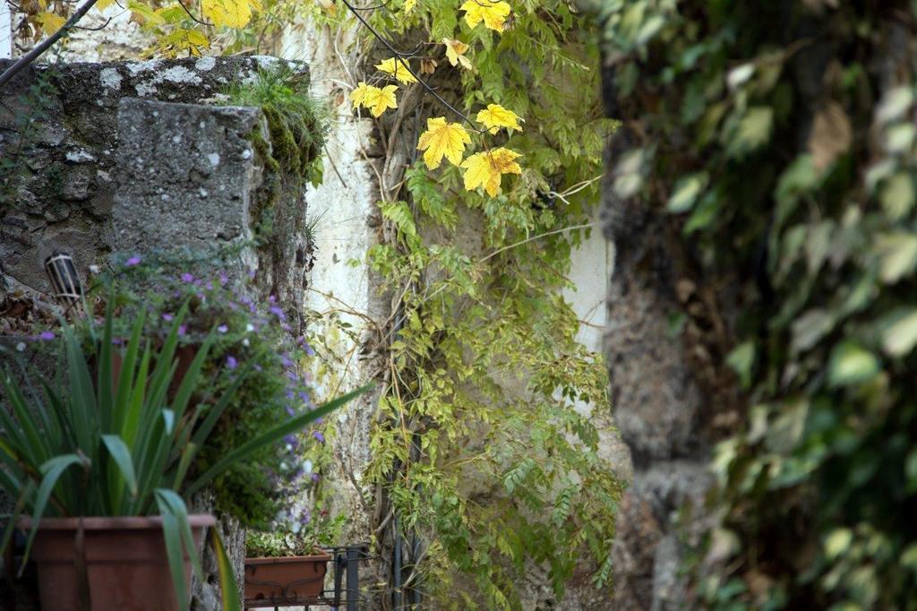 La Bifora E Le Lune Vico Sotto Gli Archi 5 Bed & Breakfast Santo Stefano Di Sessanio Exterior photo